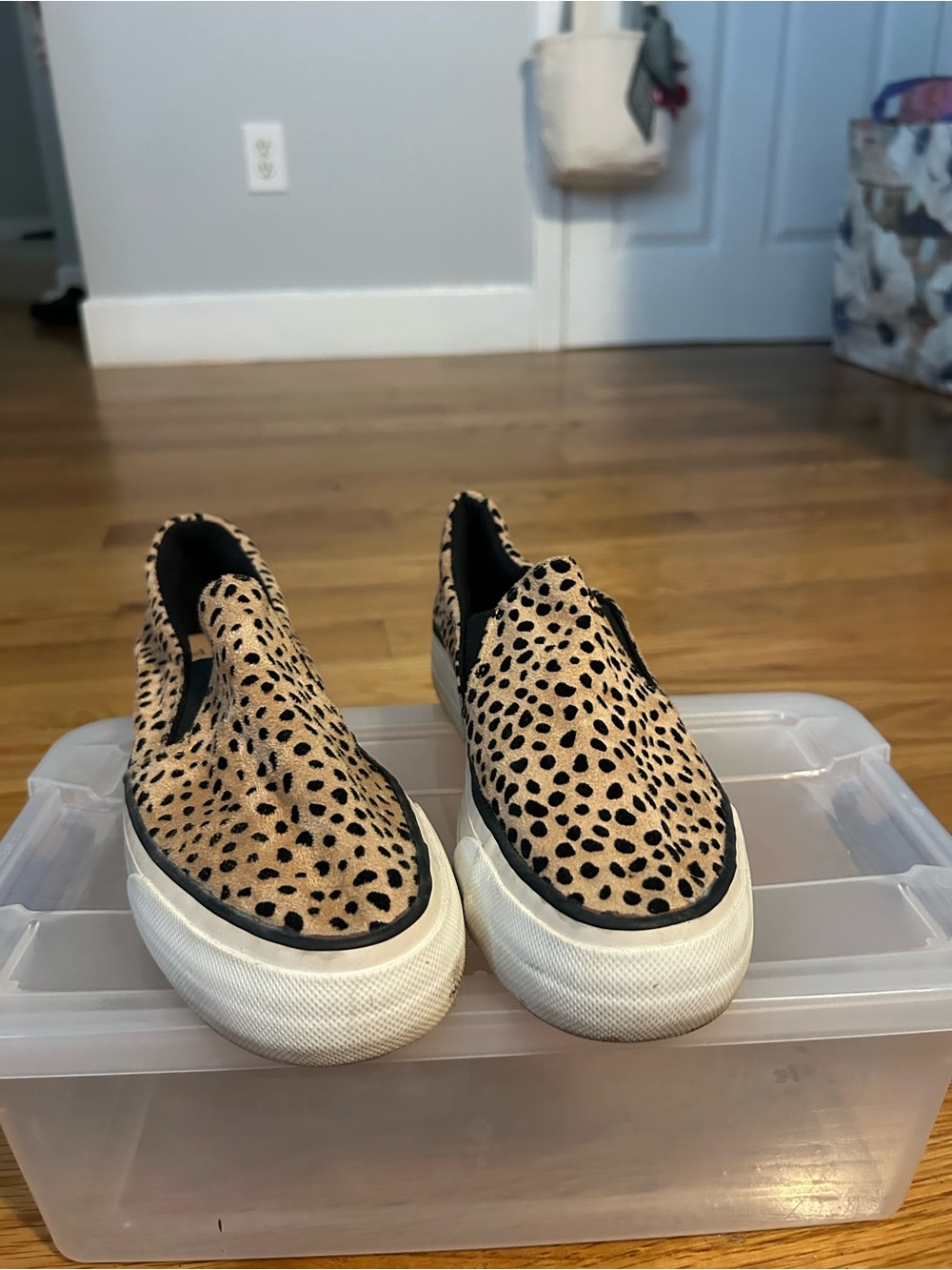 Restricted Leopard Print Slip-On Sneakers - Tan/Black